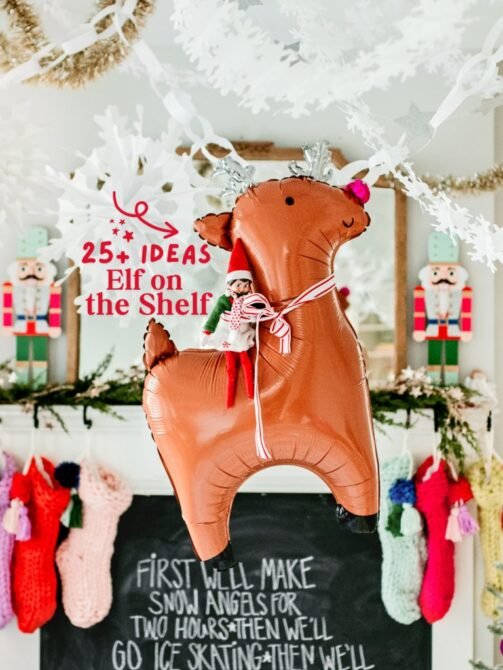 Elf on the Shelf Idea